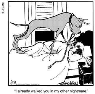 marmaduke